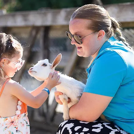 Paradis La Grand'metairie Campingplads