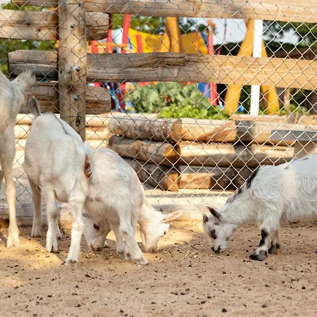 Paradis La Grand'metairie Kemping Saint-Hilaire-la-Forêt