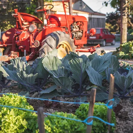 Paradis La Grand'metairie