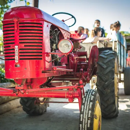 Paradis La Grand'metairie