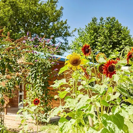 Paradis La Grand'metairie Saint-Hilaire-la-Foret