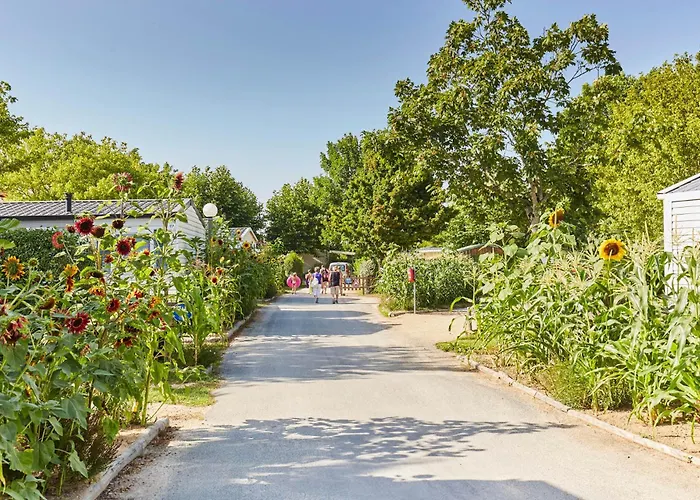 Kemping Paradis La Grand'metairie 4*