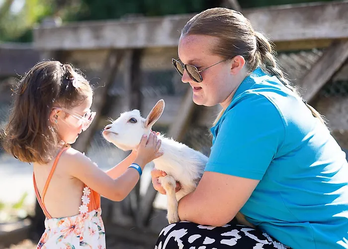 Paradis La Grand'metairie Kemping