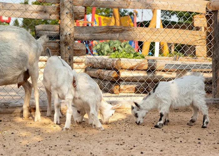 Paradis La Grand'metairie Campingplatz Saint-Hilaire-la-Forêt
