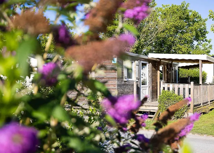 Paradis La Grand'metairie Saint-Hilaire-la-Forêt