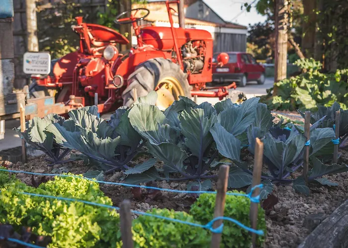 Paradis La Grand'metairie