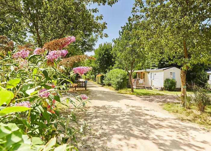 Paradis La Grand'metairie Kemping Saint-Hilaire-la-Forêt