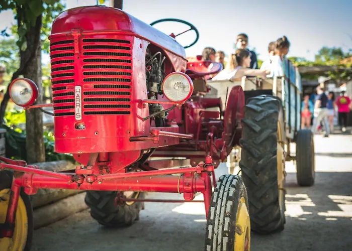 Paradis La Grand'metairie