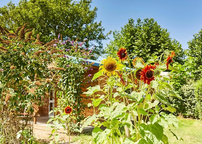 Paradis La Grand'metairie Saint-Hilaire-la-Forêt